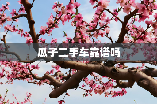 瓜子二手车靠谱吗