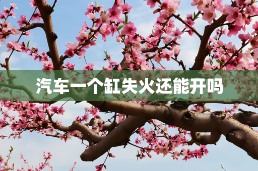 汽车一个缸失火还能开吗