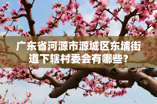 广东省河源市源城区东埔街道下辖村委会有哪些？