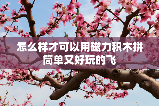 怎么样才可以用磁力积木拼简单又好玩的飞