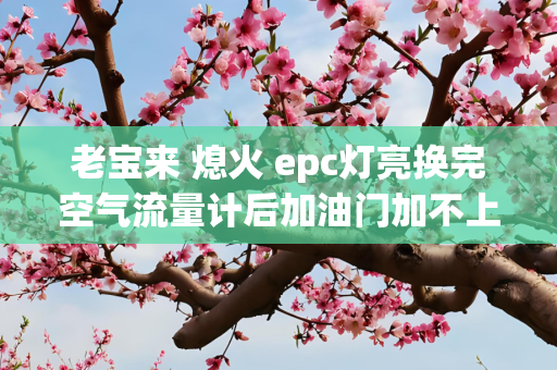 老宝来 熄火 epc灯亮换完空气流量计后加油门加不上
