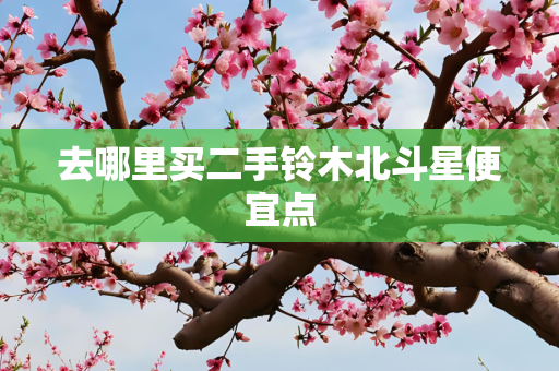 去哪里买二手铃木北斗星便宜点