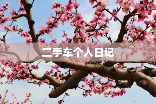 二手车个人日记