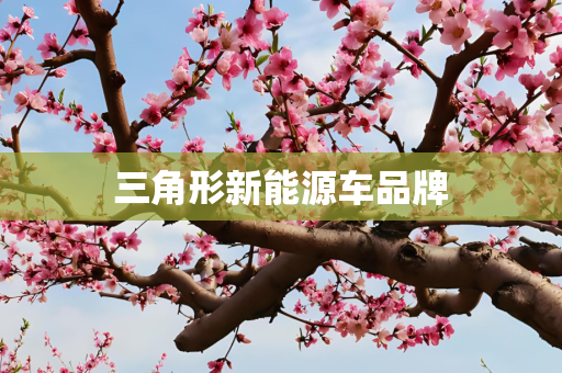 三角形新能源车品牌