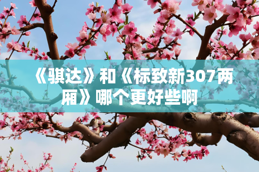 《骐达》和《标致新307两厢》哪个更好些啊