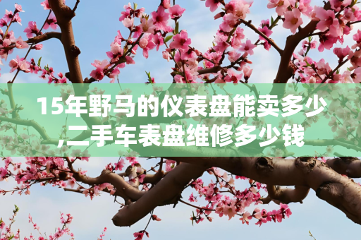 15年野马的仪表盘能卖多少,二手车表盘维修多少钱