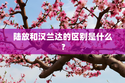 陆放和汉兰达的区别是什么？