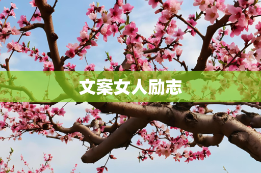 文案女人励志