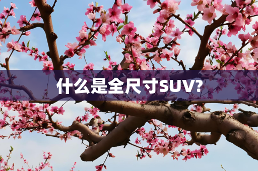 什么是全尺寸SUV?