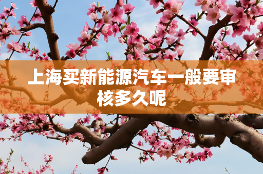上海买新能源汽车一般要审核多久呢