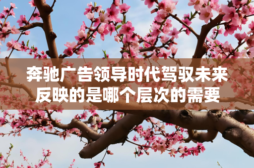 奔驰广告领导时代驾驭未来反映的是哪个层次的需要