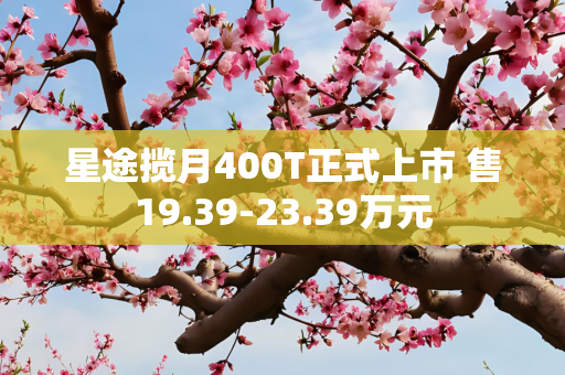 星途揽月400T正式上市 售19.39-23.39万元
