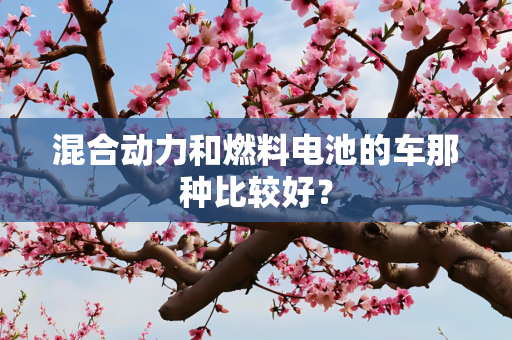 混合动力和燃料电池的车那种比较好？