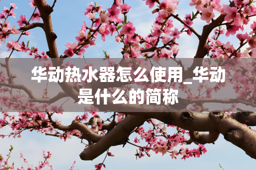 华动热水器怎么使用_华动是什么的简称