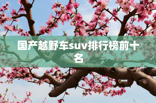 国产越野车suv排行榜前十名