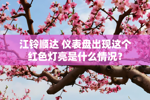 江铃顺达 仪表盘出现这个红色灯亮是什么情况？