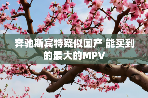 奔驰斯宾特疑似国产 能买到的最大的MPV