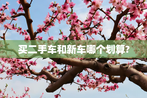 买二手车和新车哪个划算?