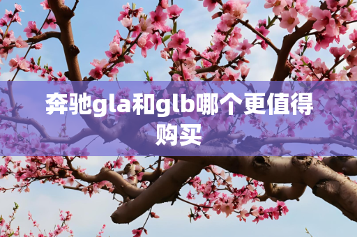 奔驰gla和glb哪个更值得购买