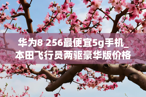 华为8 256最便宜5g手机_本田飞行员两驱豪华版价格多少