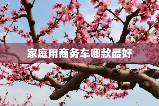 家庭用商务车哪款最好