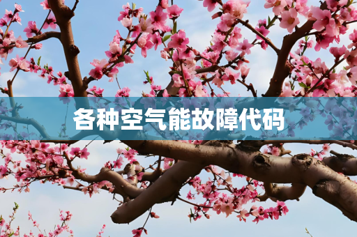 各种空气能故障代码