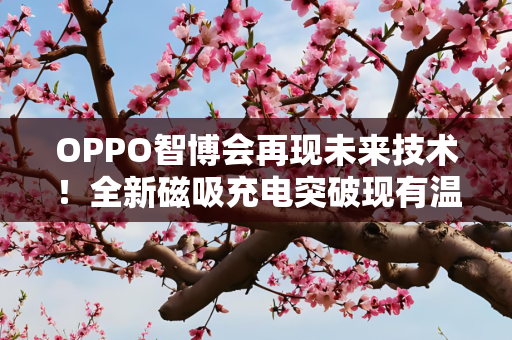 3838px 第7页