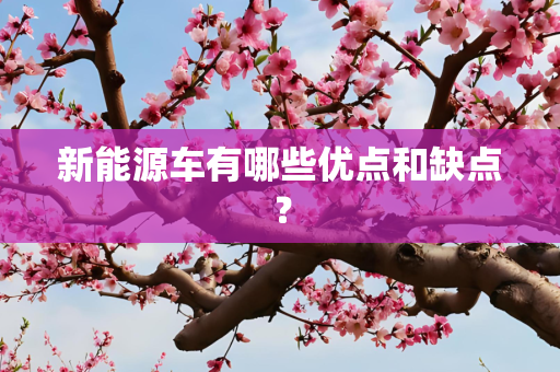 新能源车有哪些优点和缺点？