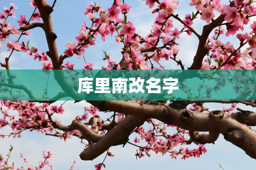 库里南改名字