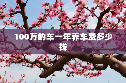100万的车一年养车费多少钱