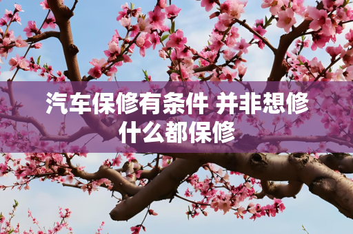 汽车保修有条件 并非想修什么都保修