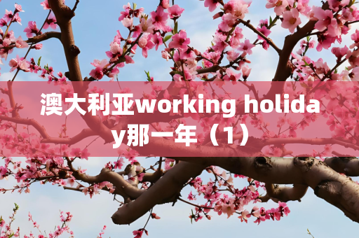 澳大利亚working holiday那一年（1）