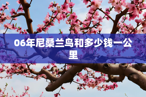 06年尼桑兰鸟和多少钱一公里