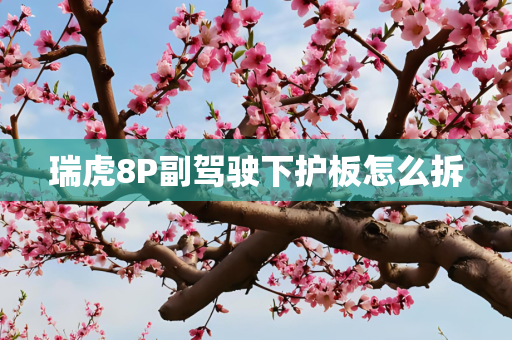 瑞虎8P副驾驶下护板怎么拆