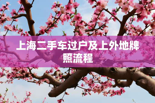 上海二手车过户及上外地牌照流程