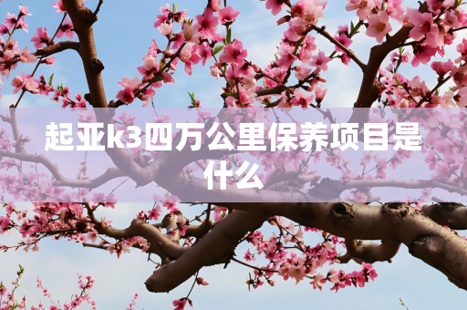 起亚k3四万公里保养项目是什么
