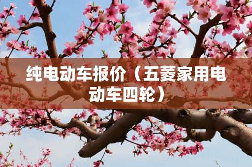 纯电动车报价（五菱家用电动车四轮）