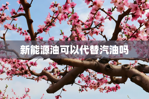 新能源油可以代替汽油吗