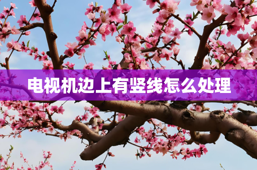 电视机边上有竖线怎么处理