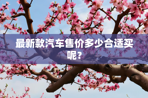 最新款汽车售价多少合适买呢？
