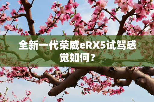 全新一代荣威eRX5试驾感觉如何？
