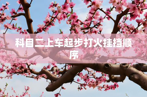 科目二上车起步打火挂挡顺序