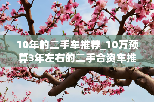 10年的二手车推荐_10万预算3年左右的二手合资车推荐