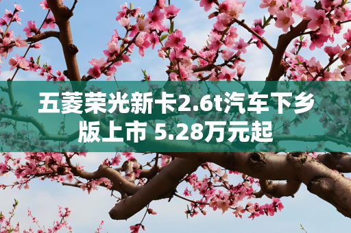 五菱荣光新卡2.6t汽车下乡版上市 5.28万元起