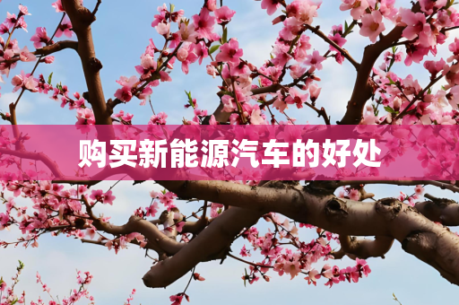 购买新能源汽车的好处