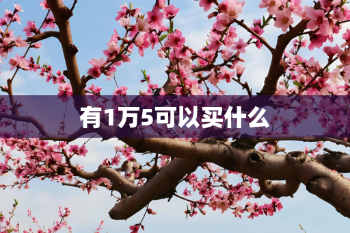 有1万5可以买什么