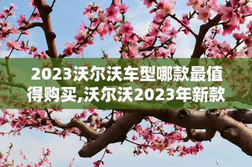 2023沃尔沃车型哪款最值得购买,沃尔沃2023年新款车型