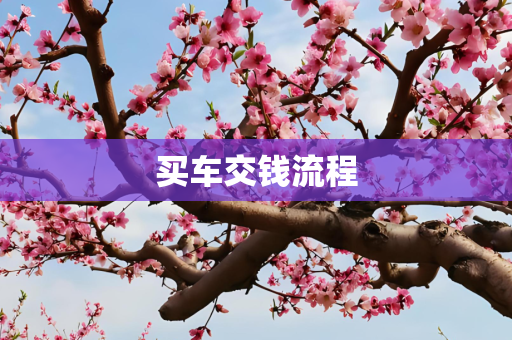 买车交钱流程