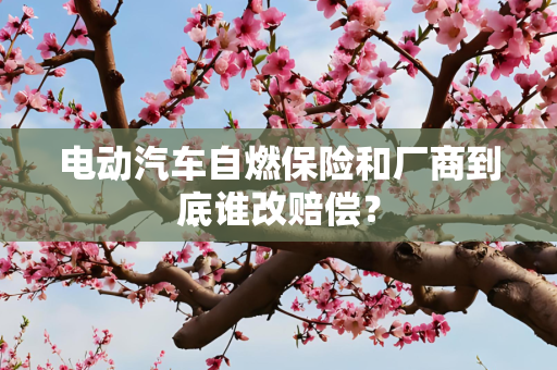 电动汽车自燃保险和厂商到底谁改赔偿？