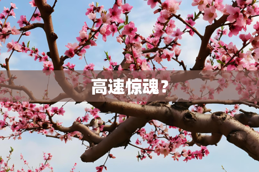 高速惊魂？